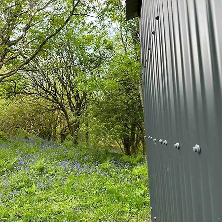 בודמין Cornwall Woodland Shepherd'S Hut - Dennis Hut מראה חיצוני תמונה