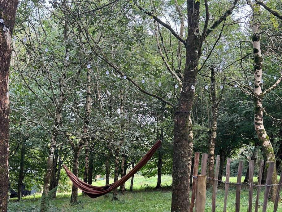 בודמין Cornwall Woodland Shepherd'S Hut - Dennis Hut מראה חיצוני תמונה