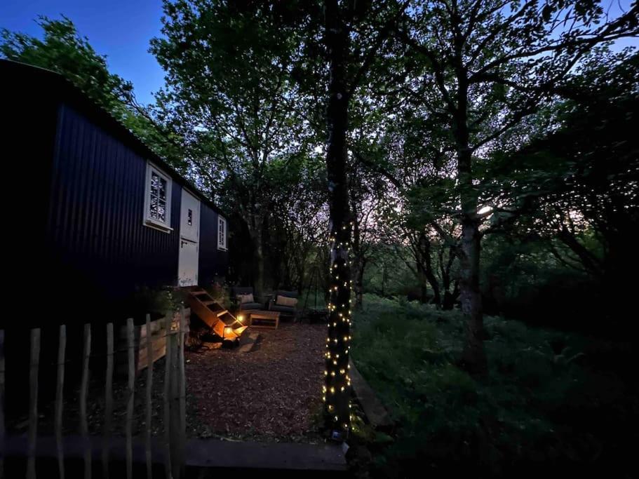 בודמין Cornwall Woodland Shepherd'S Hut - Dennis Hut מראה חיצוני תמונה