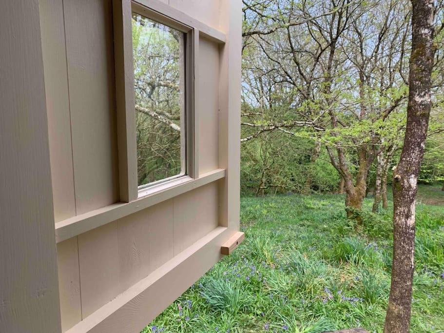 בודמין Cornwall Woodland Shepherd'S Hut - Dennis Hut מראה חיצוני תמונה