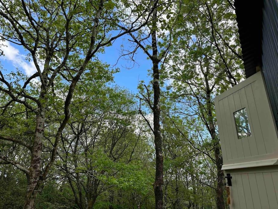 בודמין Cornwall Woodland Shepherd'S Hut - Dennis Hut מראה חיצוני תמונה