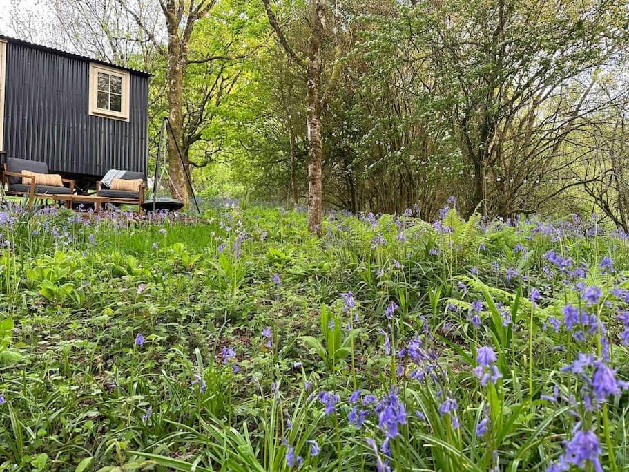 בודמין Cornwall Woodland Shepherd'S Hut - Dennis Hut מראה חיצוני תמונה