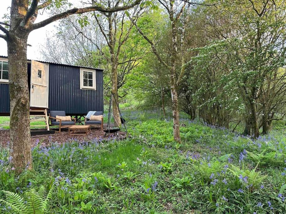 בודמין Cornwall Woodland Shepherd'S Hut - Dennis Hut מראה חיצוני תמונה