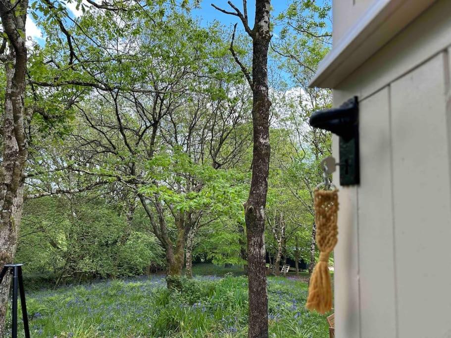 בודמין Cornwall Woodland Shepherd'S Hut - Dennis Hut מראה חיצוני תמונה