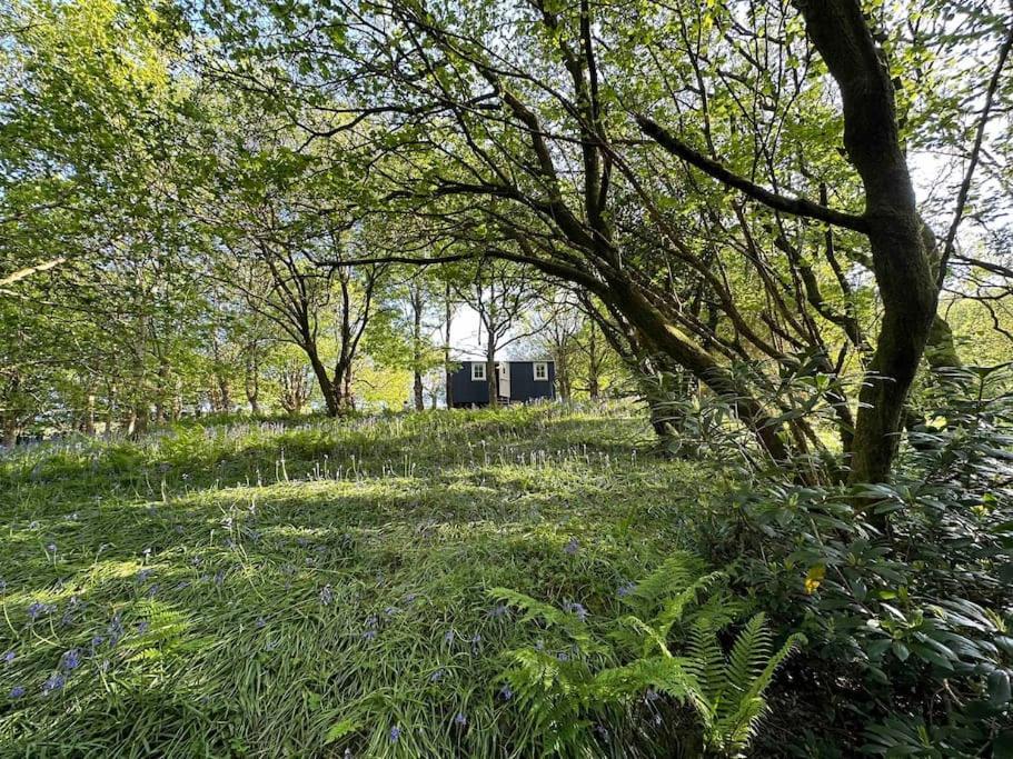 בודמין Cornwall Woodland Shepherd'S Hut - Dennis Hut מראה חיצוני תמונה