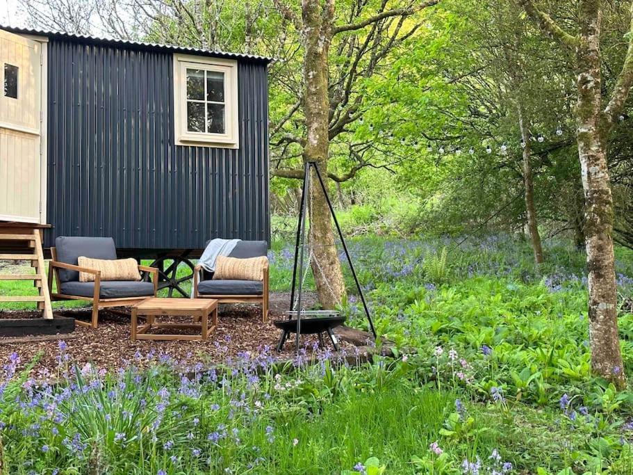 בודמין Cornwall Woodland Shepherd'S Hut - Dennis Hut מראה חיצוני תמונה
